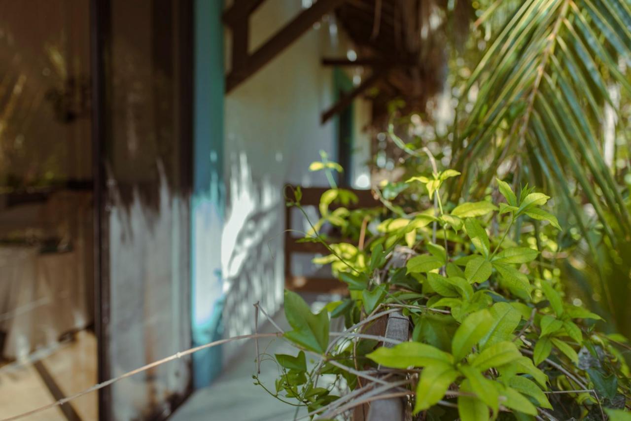Hotel Villas Tiburon Isla Holbox Kültér fotó