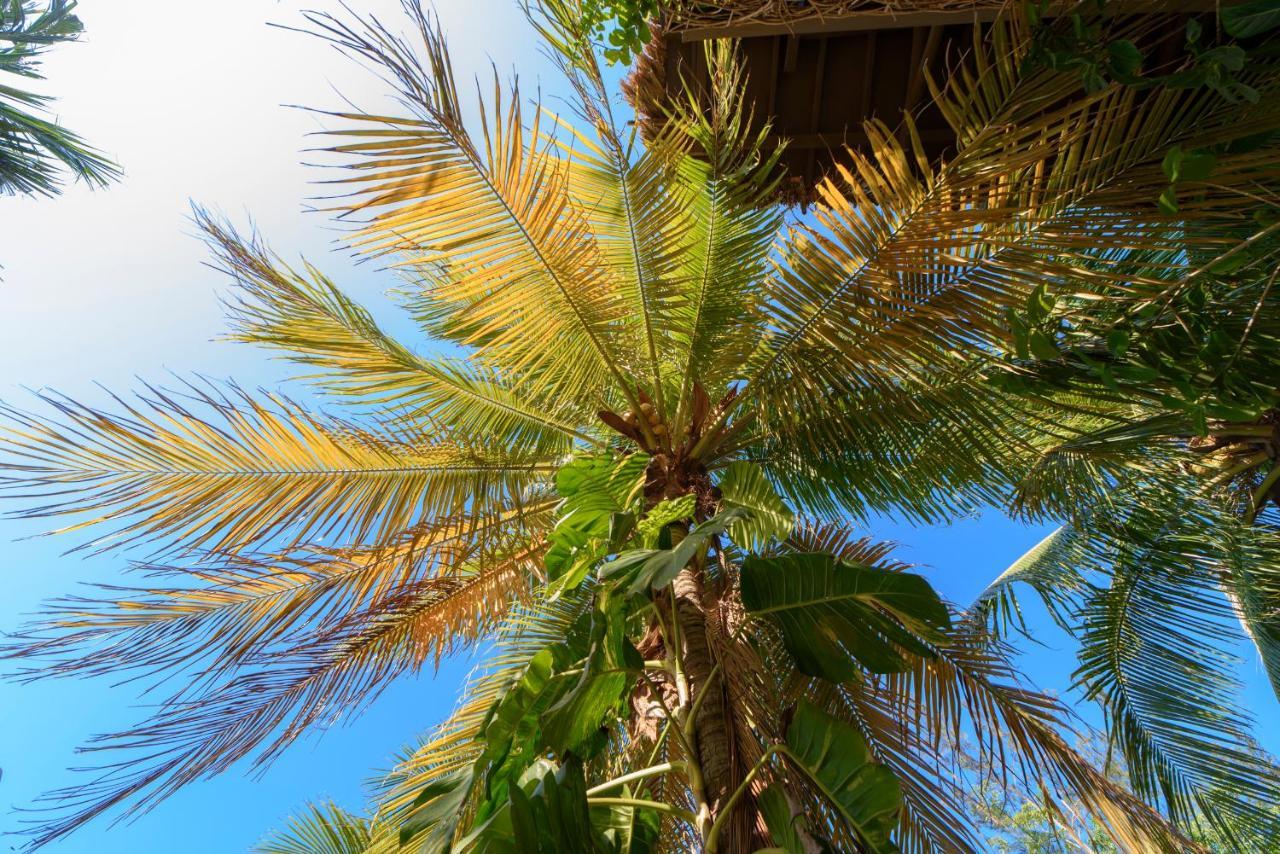 Hotel Villas Tiburon Isla Holbox Kültér fotó