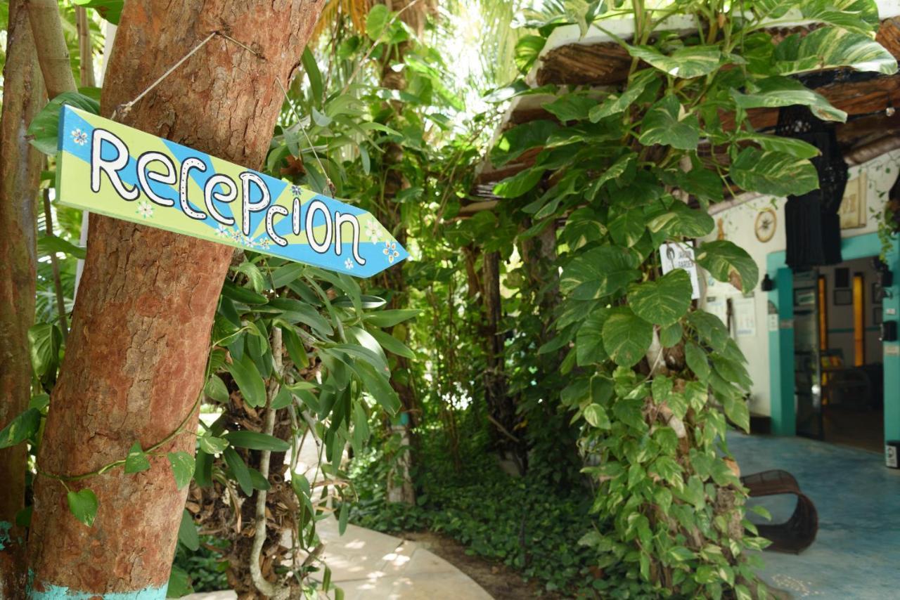 Hotel Villas Tiburon Isla Holbox Kültér fotó